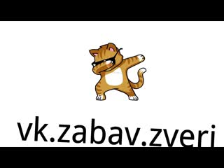3abav zveri-01